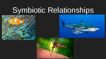 Preview of Symbiotic Relationships