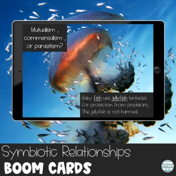 Preview of Symbiotic Relationships Boom Cards - Mutualism Commensalism Parasitism Symbiosis
