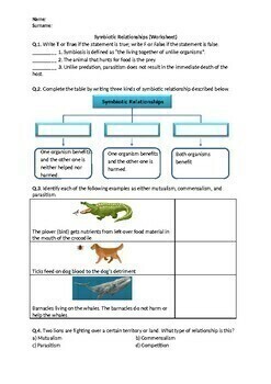 Preview of Symbiotic Relationships - Worksheet | Printable and Distance Learning