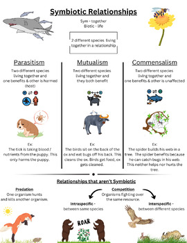 Preview of Symbiotic Relationships Graphic Notes / Reference Sheet