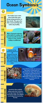 Preview of Symbiotic Relationships Infographic Practice
