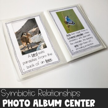 Preview of Symbiotic Relationships Photo Album Center Digital and Print Symbiosis