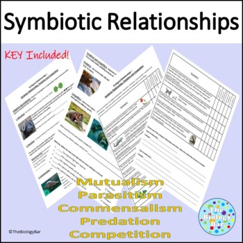 Preview of Symbiotic Relationships Predation and Competition Worksheet