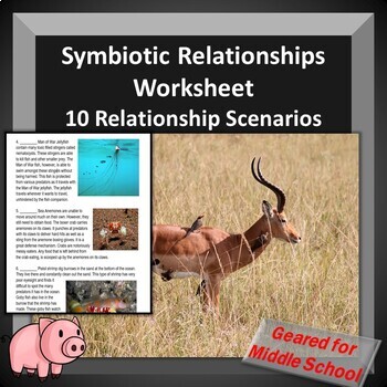 Preview of Symbiotic Relationships Worksheet -- Review Ecological Relationships