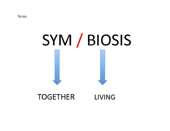 Symbiotic Relationships In Ecosystems Commensalism Mutualism