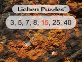 Lichen Puzzles (multiplication & subtraction with $100 challenge)