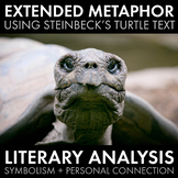 Extended Metaphor, Symbolism, Literary Analysis, John Stei
