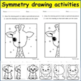 Symmetry Drawing Activity