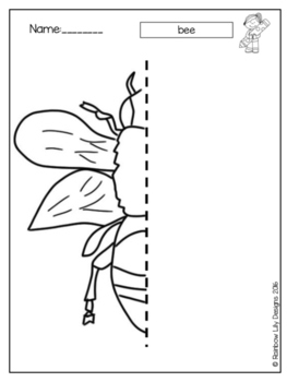 Symmetry in Insects_ Drawing worksheets to practise symmetry | TpT