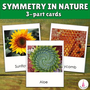Preview of Symmetry in Nature Montessori 3-part Cards