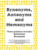 Synonym, Antonym and Homonym Posters
