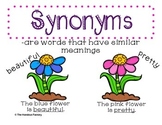 Synonym Poster and Interactive Booklet