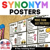 Synonym Posters -USA and UK/Australian spelling