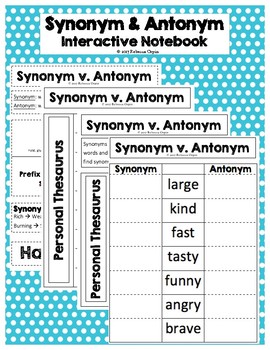 Antonym or Synonym? Interactive Resource