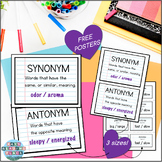 Synonym and Antonym Posters - Vocabulary FREEBIE