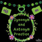 Synonym and Antonym Practice