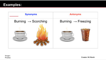 Preview of Synonyms, Antonyms, & Homophones Review
