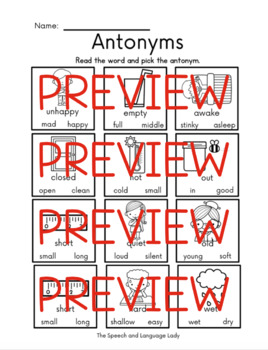 Synonyms/Antonyms Identification Sheets by The Speech and Language Lady