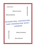 Synonyms, Antonyms, and Homonyms Mini-Lesson