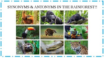 Preview of Synonyms & Antonyms in the Rainforest with Crossover Curriculum!!