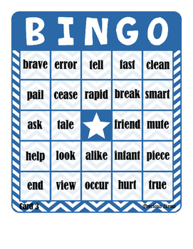 Synonyms - Bingo by Precious Items | TPT