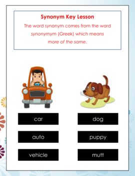 Preview of Synonyms Bundle