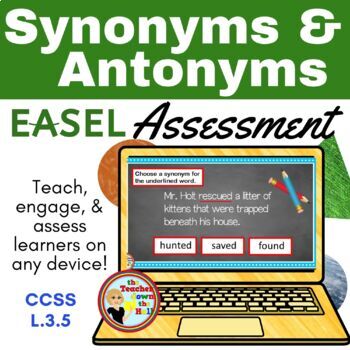 Preview of Synonyms and Antonyms Easel Assessment - Digital Vocabulary Activity
