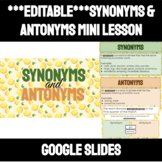 Synonyms and Antonyms Mini Lesson