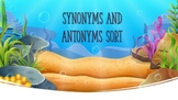 Synonyms and Antonyms Sort Digital Resource