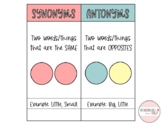 Synonyms and Antonyms Visual- Describing and Vocabulary