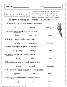 homework antonyms