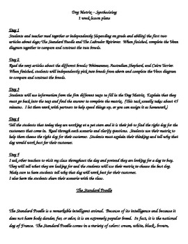 Preview of Synthesizing / Synthesis / Synthesize Information - Dog Matrix