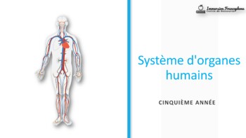 Preview of Systèmes du corps humain-Human Organ System-Grade 5 (FR)
