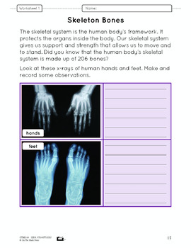 systems in the body lesson plans grade 5 by on the mark press tpt