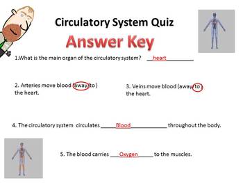 Preview of Systems of the Body BrainBlast