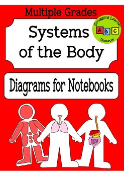 Preview of Systems of the Body - Diagrams