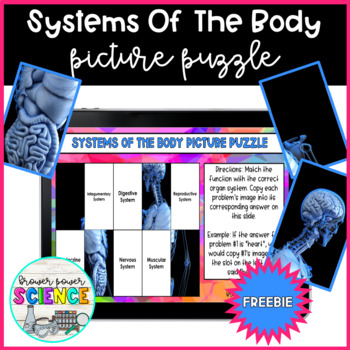 Preview of Systems of the Body Digital Picture Puzzle Freebie!