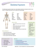 Systems of the Body Research - Circulatory, Skeletal, Dige