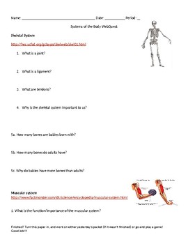 Preview of Systems of the Body WebQuest
