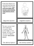 Systems of the Human Body 3 Part Cards