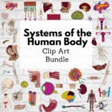 Systems of the Human Body Clip Art Bundle