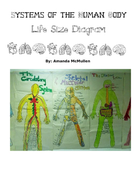 Preview of Systems of the Human Body- Life Size Diagram