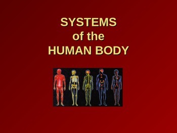 Preview of Systems of the Human Body PowerPoint