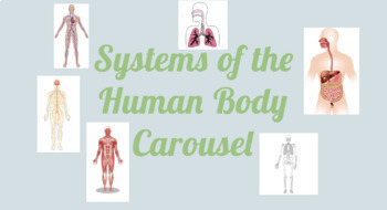 Systems of the Human Body Question Carousel by Hannah Chandler | TPT