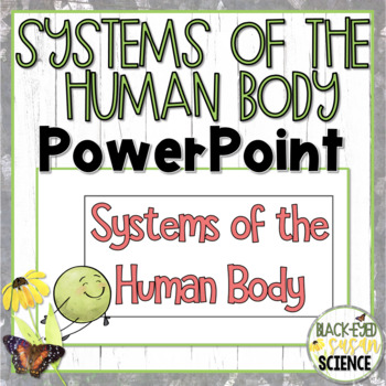 Systems of the Human Body Doodle Notes--- POWER POINT | TPT