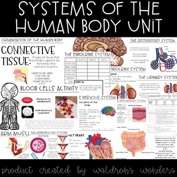 Preview of Systems of the Human Body Unit Plan