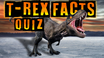 Preview of T-Rex Quiz