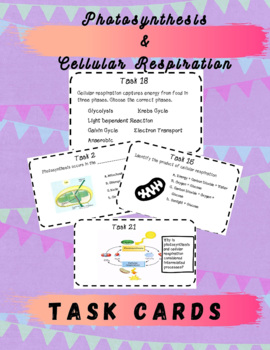 Preview of TASK CARDS: Photosynthesis and Cellular Respiration