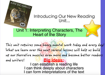 Preview of TC Reading Unit 1 (Using The Tiger Rising)-ActivInspire