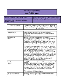 Preview of TC Reading and Writing Project Baby Literary Essay Lesson Plans